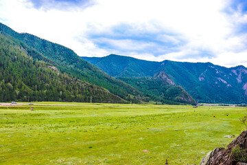 Altai Mountains