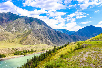 Nature. Altai Mountains