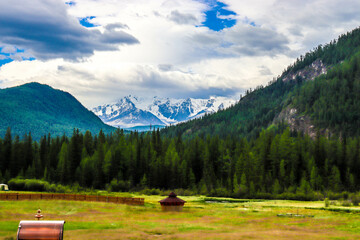 Nature. Altai Mountains