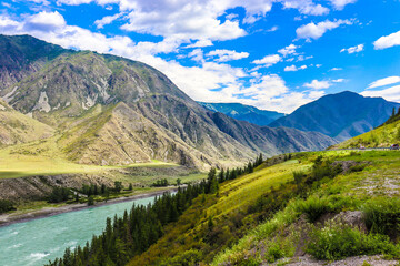 Nature. Altai Mountains