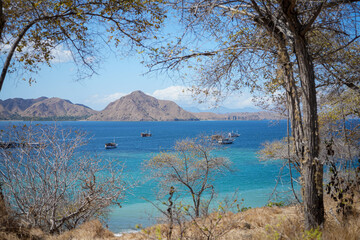 Fleet of Ships in Tropical Bay, Islands in Background- Indonesia 