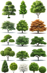 Fototapeta premium set of trees