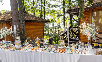 Elegant outdoor buffet for nature celebration. A beautifully arranged outdoor buffet features various dishes, sweets, and decorative elements under the trees.