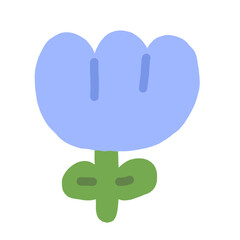 cute tulip flower