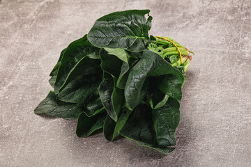 Ripe green spinach leaves heap