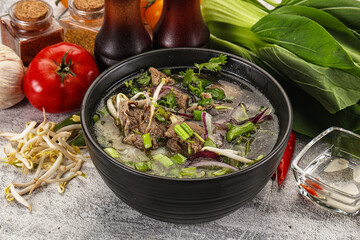 Vietnamese cuisine - Pho Bo soup with beef