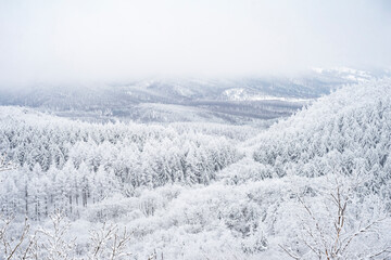 Snow Scenery of Daegwallyeong, Gangwon-do, Korea