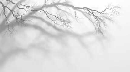 Abstract gray tree branch shadows on a white wall, creating a soft, blurred overlay effect; ideal for design presentations and natural light aesthetics.