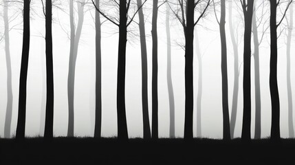 Silhouetted trees in a foggy forest create a serene, minimalist landscape perfect for social media and smartphone wallpapers.