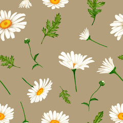 Watercolor seamless pattern with chamomile flowers and leaves. For printing designs in industry.