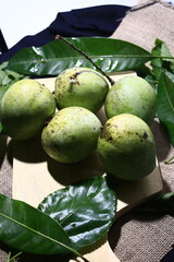 buah mangga