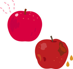 熟した食べごろのリンゴと腐りかけたリンゴ