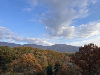 A clear and beautiful autumn sky.