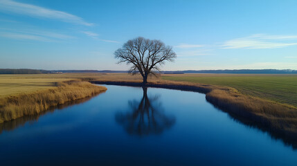 Fototapeta premium A tranquil landscape featuring a solitary tree beside a serene river, reflecting the clear blue sky and surrounding fields.