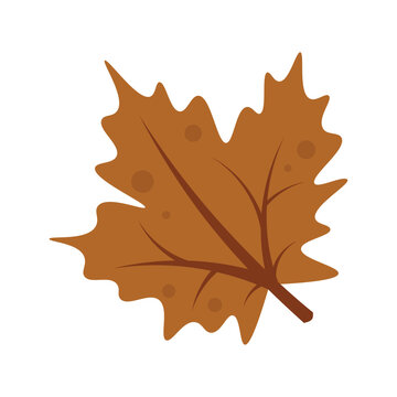 Thanksgiving Vector Illustration - Leaves