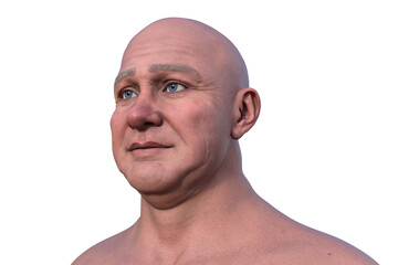 3D illustration of a middle-aged bald man's face and neck