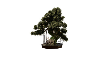 bonsai tree with Christmas decoration isolated on white