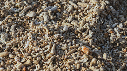 close up of pebbles on the beach with sunlight