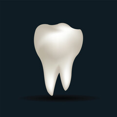 White tooth. 3d illustration of a tooth on a dark background