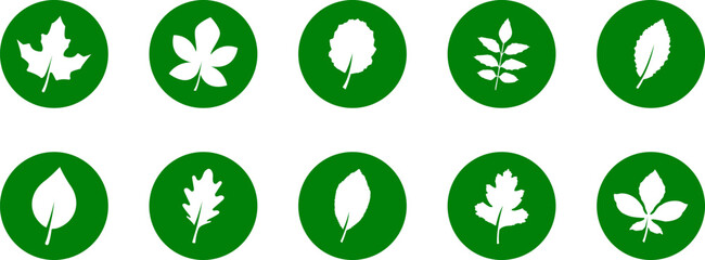 Leaf icon. Set of green leafs icons. Eco, bio, natural, vegan icon. Leaves of trees and plants. Leaves icon Collection. Vector illustration