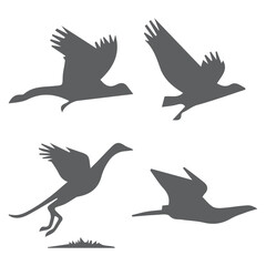 Obraz premium set of silhouettes of birds
