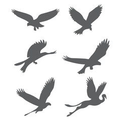 Obraz premium set of birds