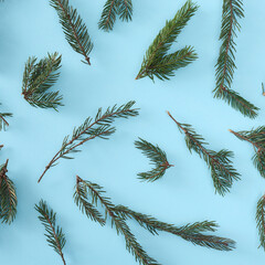 Scattered green pine sprigs create a repeating pattern against a pastel blue backdrop