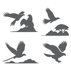 Obraz premium set of birds