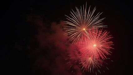 Colorful Fireworks Illuminate the Night Sky During a Summer Celebration in a Vibrant Display of Light and Sound