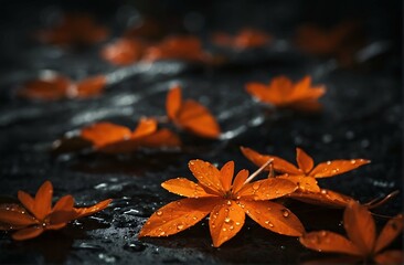 Drops of water on orange fallen leaves. Contrasting beautiful autumn wallpaper