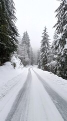 Fototapeta premium Winter wonderland of serene snow-covered road curling through lush evergreen trees