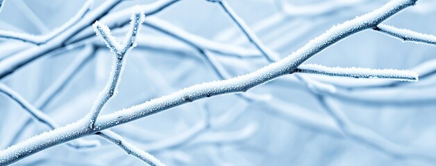Enchanting winter landscape with frosted branches and a serene snowy meadow illuminated by gentle snowfall in the forest