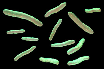 Mycobacterium tuberculosis bacteria, 3D illustration