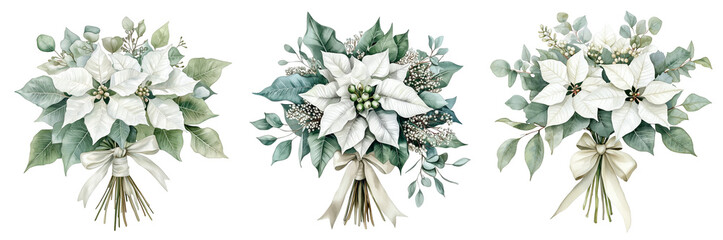 Set of bouquet of white poinsettia, tied with ribbon, eucalyptus, gum leaves, sage green, watercolor, isolated on a transparent background