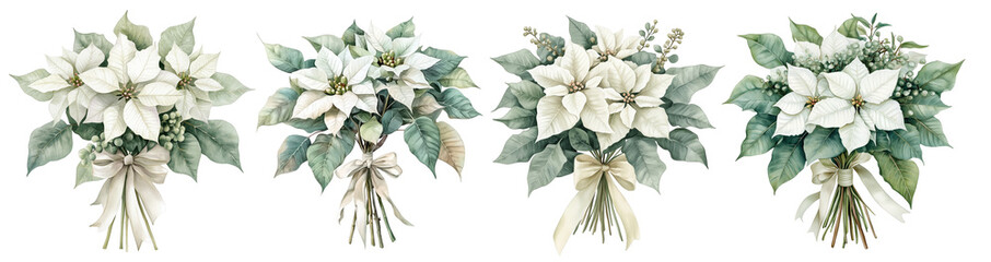  Set of bouquet of white poinsettia, tied with ribbon, eucalyptus, gum leaves, sage green, watercolor, isolated on a transparent background