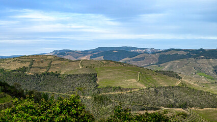 Naklejka premium Douro Valley, a famous place and travel destination in Portugal