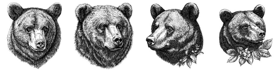 Sketch engraving generative ai raster illustration. Scratch board imitation. Features a friendly expression and intricate fur details.