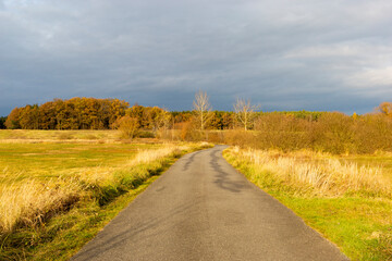 An asphalt road through autumn fields leading towards a forest. Late autumn in the Czech Republic.