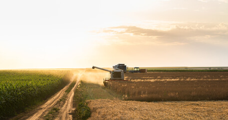  Combine harvester working on harvesting rapeseed.
