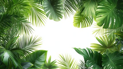 Lush Tropical Foliage Background
