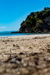 close up of sand and bark on a beach