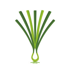 Illustration of Simple flat 2D icon scallion green onion isolated on a transparent background, vector, flat design, animation design, vector, flat design, animation