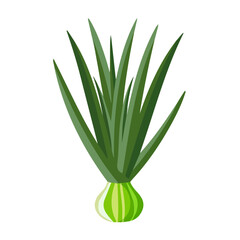 Illustration of Simple flat 2D icon scallion green onion isolated on a transparent background, vector, flat design, animation design, vector, flat design, animation