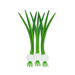 Illustration of Simple flat 2D icon scallions branch isolated on a transparent background, vector, flat design, animation design, vector, flat design, animation