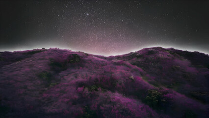 Purple mountain with purple vegetation in night 