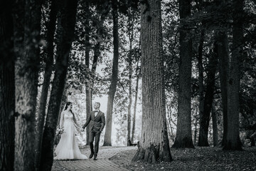 Bride and groom holding hands, walking through a forested path in a serene, natural setting. Black-and-white photo, evoking timeless romance and tranquility..