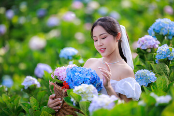 Beautiful woman in white weding dress  in colorful hydrangea flowers field, portrait of enjoying and relaxtion