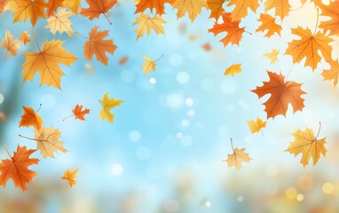 Autumn Leaves Falling in the Sky