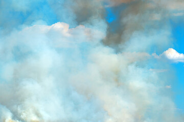 Smoke cloud after wildfire in meadow