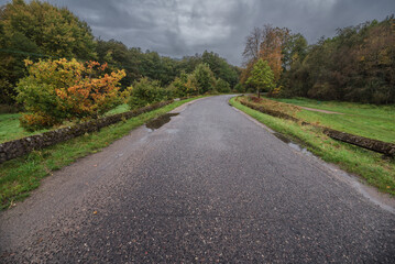 AUTUMN LANDSCAPE  - Colorful tree leaves against the background of the forest and a wet road after rain